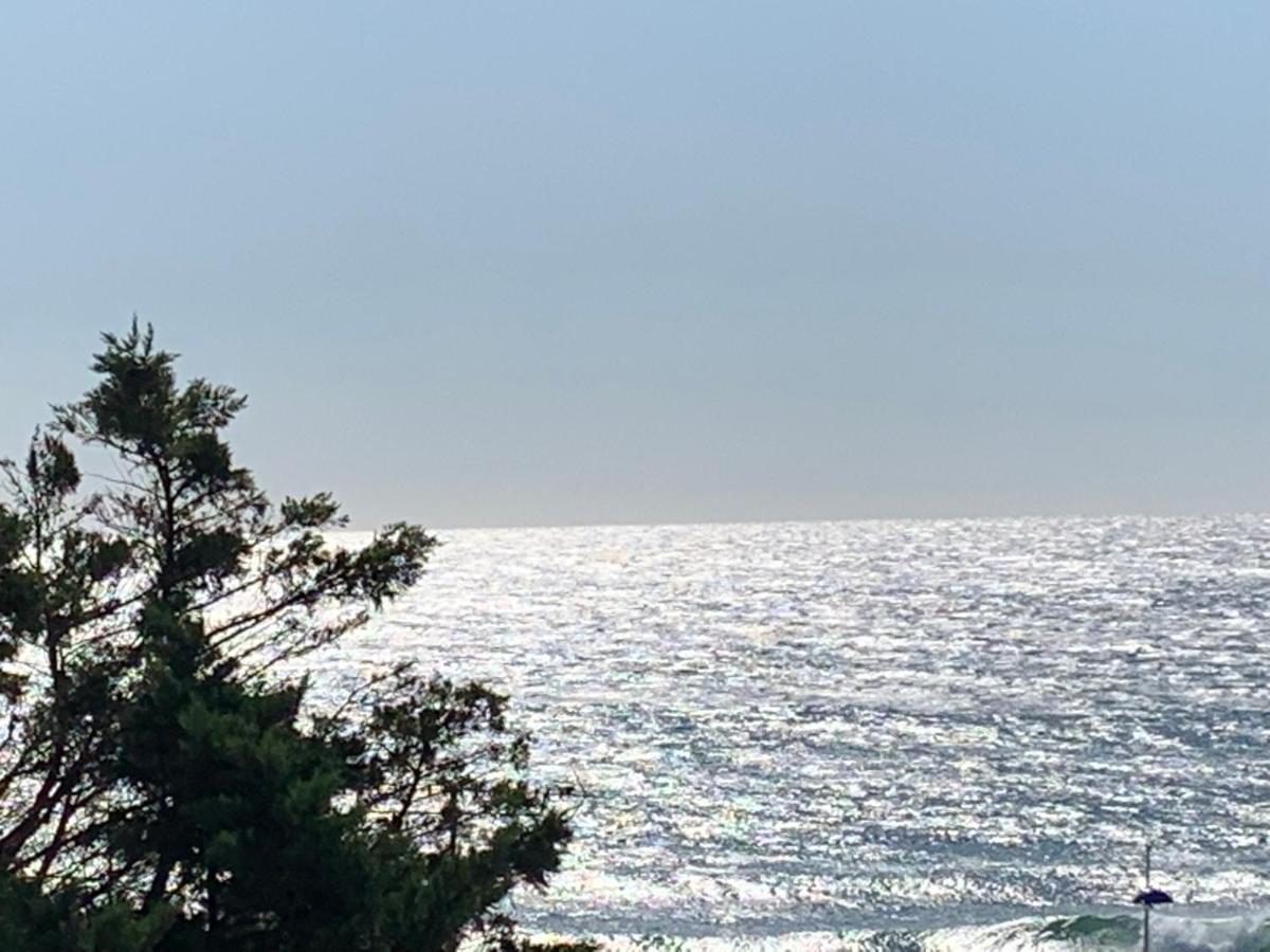 Magnifique Vue Mer Sausset-les-Pins Eksteriør bilde